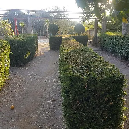 Ξενοδοχείο Rural Mira Serra Mangualde