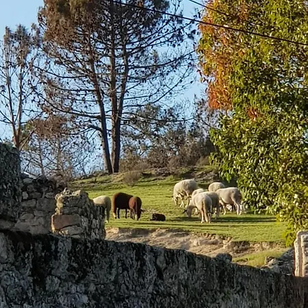 Rural Mira Serra 3*