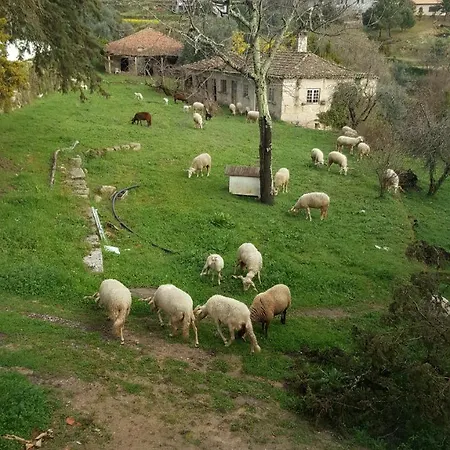 Rural Mira Serra 3* Mangualde