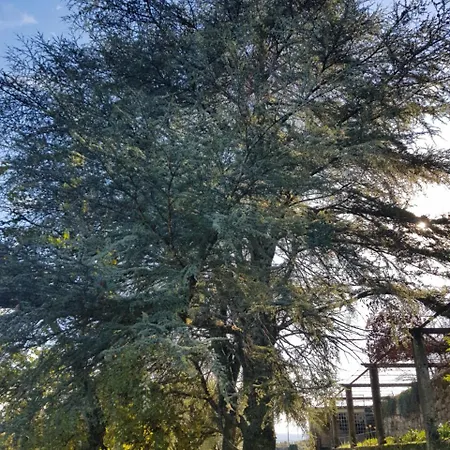 Rural Mira Serra