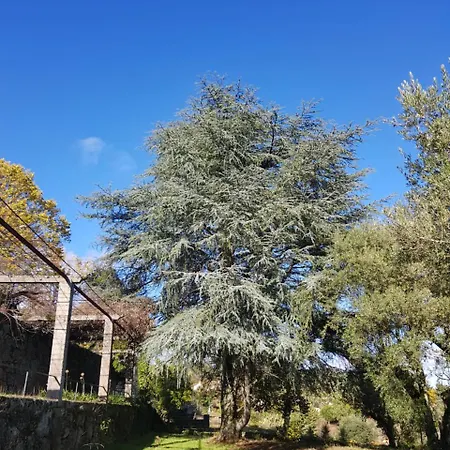Rural Mira Serra Hotel