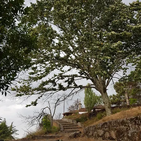 Rural Mira Serra Mangualde