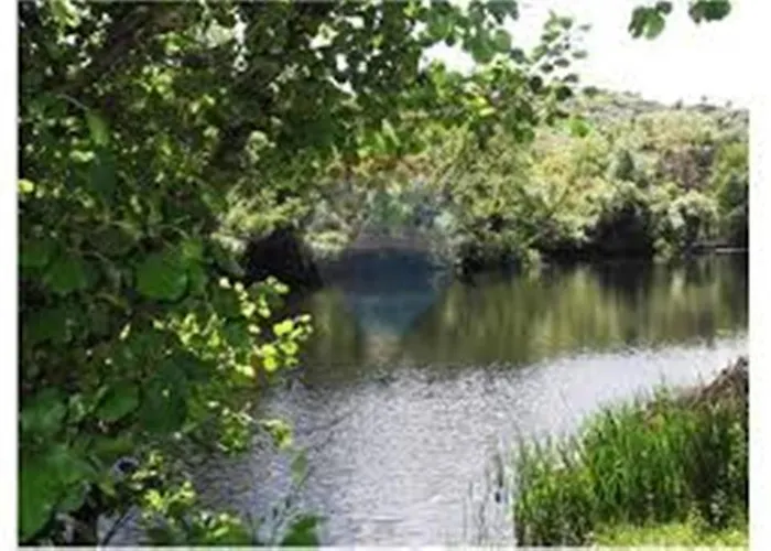 Rural Mira Serra Mangualde