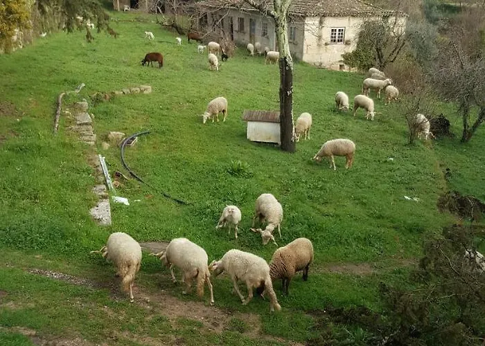 Rural Mira Serra 3* Mangualde