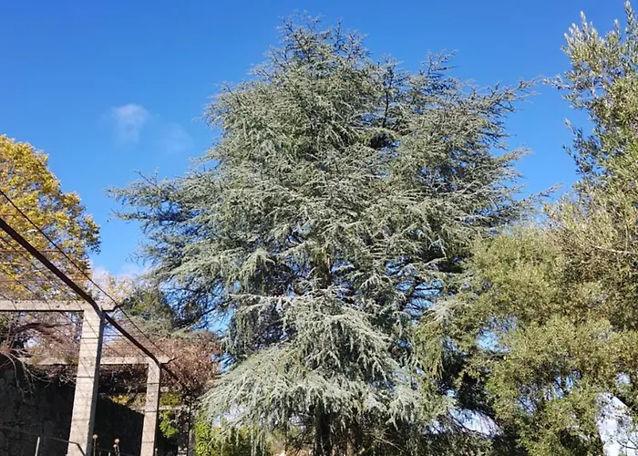 Rural Mira Serra Hotel