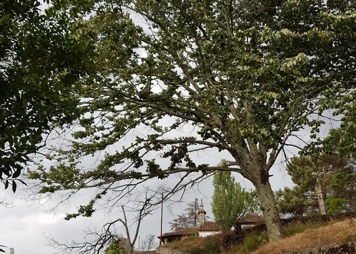 Rural Mira Serra Mangualde