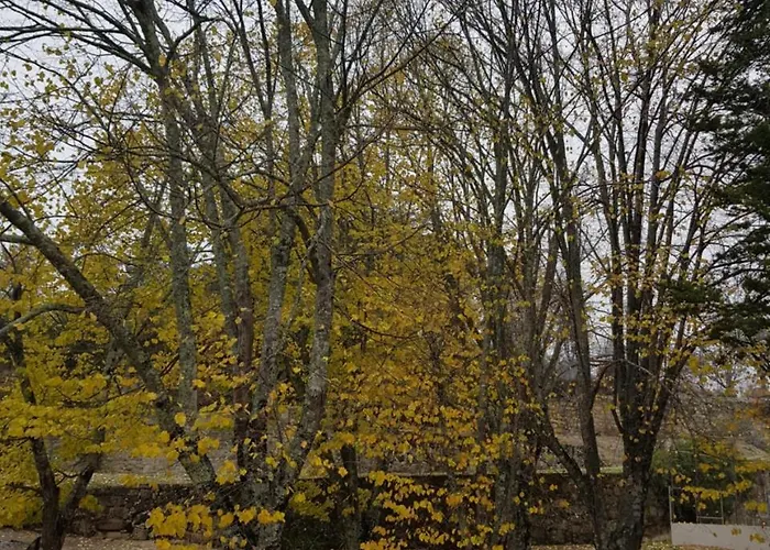 Rural Mira Serra Hotel Mangualde